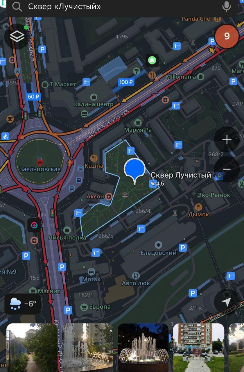 Фото В Новосибирске пройдет митинг против закона об эвтаназии бездомных собак 2